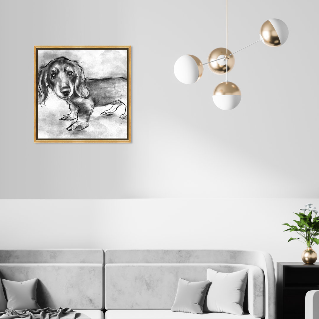 " Animals Dachshund Puppy, Modern & Contemporary Gray " by Oliver Gal Art Remedy
