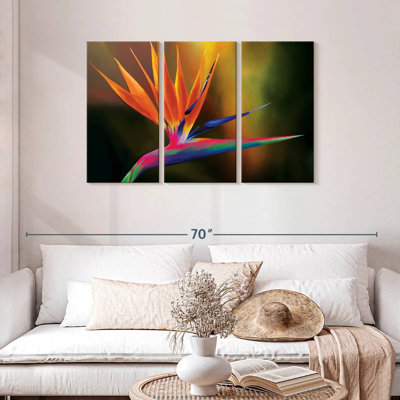 Strelitzia Harnek Delightful