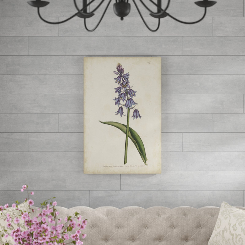 Lavender Curtis Botanicals II by Curtis - Painting Print, 30cm H x 20cm W, Wrapped Canvas