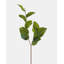 Artificial Salal Leaf Stem 23"