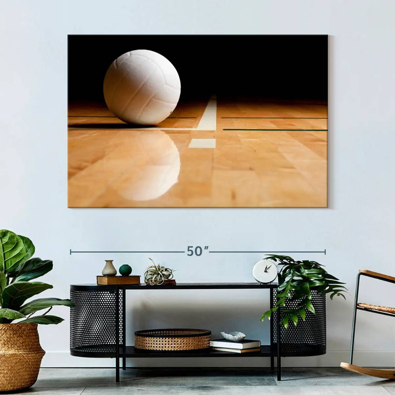 Sireci White Volleyball Reflection, 34" H x 51" W