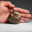 Géosite, Psuedo, pyrite de Gachala, Colombie