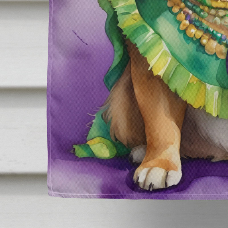 Drapeau de maison de Mardi Gras en polyester double face H 28 po x l 40 po