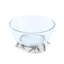 Olive Grove Glass Dessert Bowl