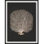Timeless Relic 1 Print-1512704418