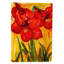 Drapeau de jardin à 2 côtés amaryllis