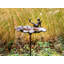 MAGPIE Birdbath
