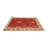 Oriental Indoor Rug-645526320