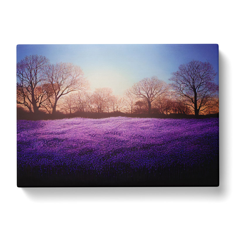 XXX-H1022-WF-8272X Staggering Bluebell Field Sunrise - Wrapped Canvas Print, 40cm H x 60cm W x 3cm D