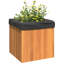 Ajwaa Planter Box-644504580
