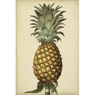 «Brookshaw Antique Pineapple I», peinture sur toile