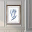 « algues under water iii »-cadre photo imprimé sur verre-2484620-2484628