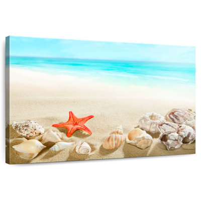 Coquillages d'Alvord à la plage