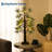 Lighted Artificial Bonsai Tree with 48 Warm White LEDs, Battery & USB Powered, Plantain