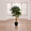 Arbre de bambou artificiel vert 6 pi