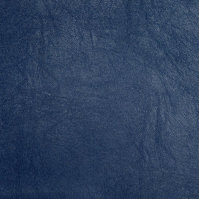 Ranch Road Fabric