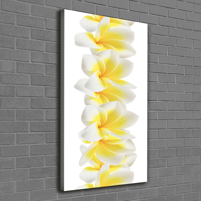 Plumeria - Wrapped Canvas Print
