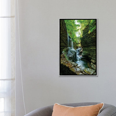 " Rickets Glen " by David Gardiner