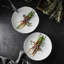 Teck White Salad Plates