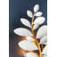 Marabec 3 Light Wall Sconce