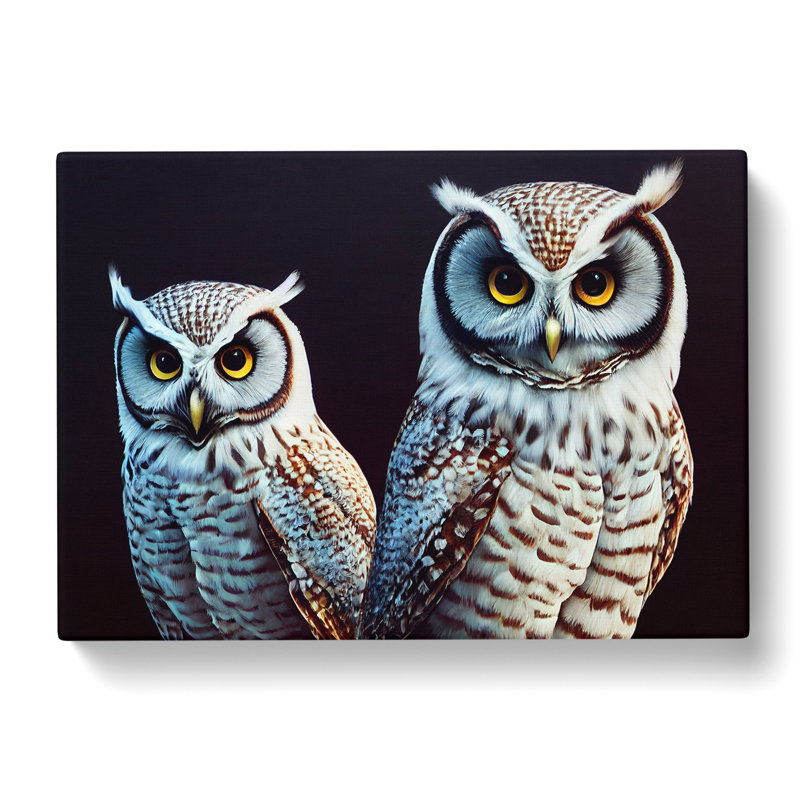 Owl Face - Wrapped Canvas, 35cm H x 50cm W x 3cm D