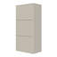Celida 4 Pair Shoe Storage Cabinet