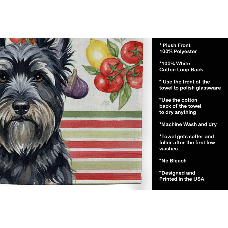 Torchon noir Skye Terrier, Black Skye Terrier