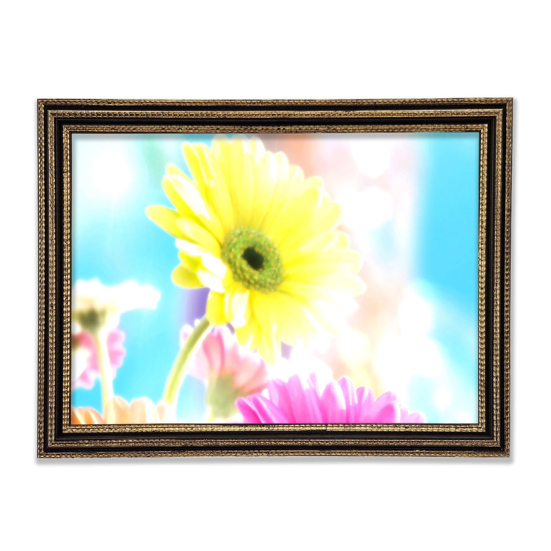 Bunter Sommer Regenbogen Blumen Gerahmter Druck