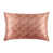 Brown Animal Print