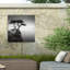 Décoration murale d'extérieur The Lone Cypress-496209177