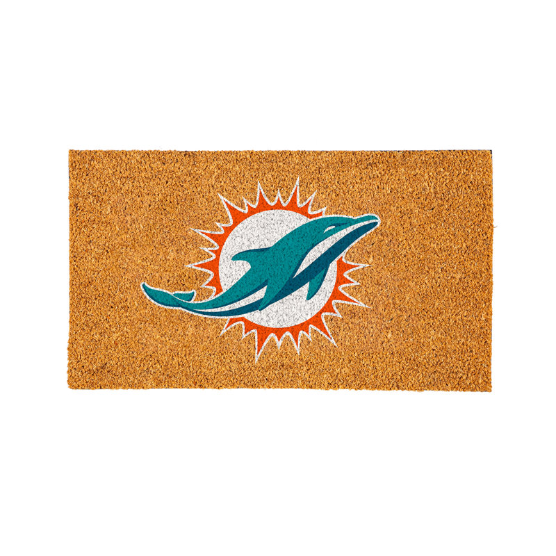 Paillasson Jeremias, Dolphins de Miami