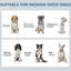 Plateau d'alimentation pour chien avec articles cachés, panneau réglable, crochets pour chiens de taille moyenne, vaisselle blanche moyenne, crochets, look