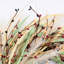 Couronne de 24 po avec rameau artificiel rustique, baies, pampas, automne, récolte, porte d'entrée, couronne, décoration de l'Action de grâce