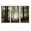 " Light In Dense Fall Forest With Fog " 3 - Pieces-920003490-920003548