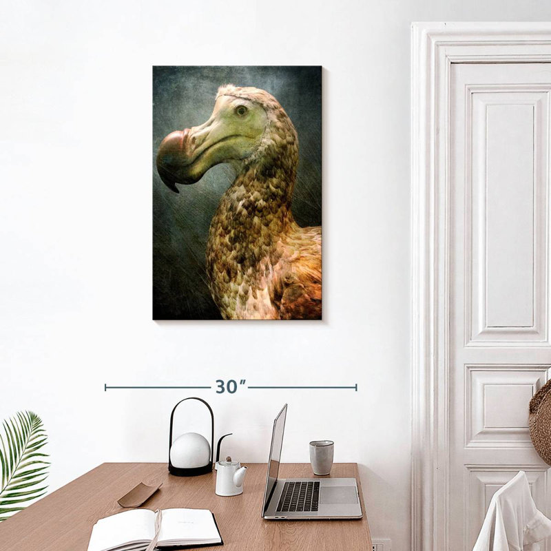 Magnifique dodo Brampt, H 30 po x l 20 po