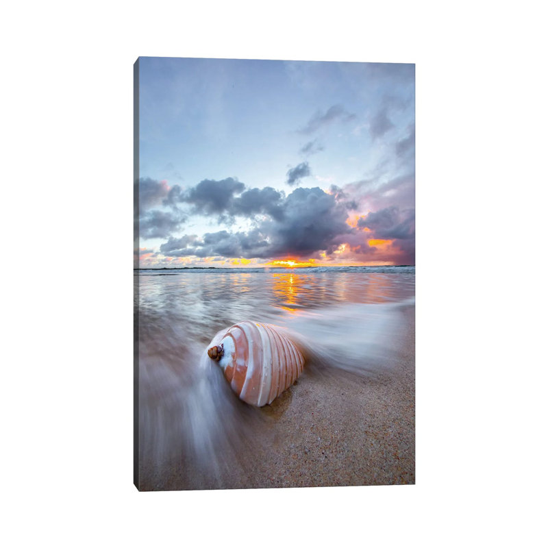 Ribbed Shell Pastels by Sean Davey - Wrapped Canvas Gallery-Wrapped Canvas Giclée, 101.6 cm H x 66.04 cm W x 3.175 cm D