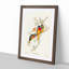 Splendid Grass-Parakeets by Elizabeth Gould - Picture Frame Painting Print-55619802-55619801