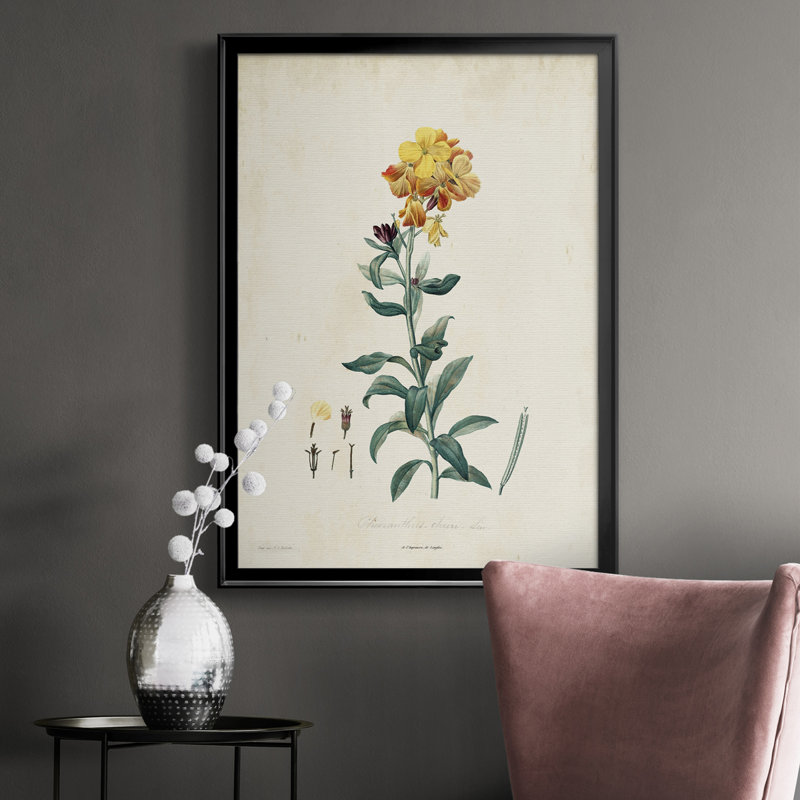 Toile encadrée de qualité supérieure Traditional Botanical III - prête à être accrochée, H 30,5 po x l 22,5 po x P 1 po, Noir