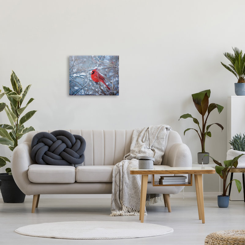 Cardinal dans les branches d'hiver sur toile par Karen Burke, H 16 po x l 20 po x P 1,5 po
