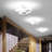 Marashio 9" Modern LED Ceiling Light, Elegant Living Room Hallway Bedroom Lamp 18W