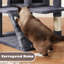 Multilevel  Cat Tree-1102423005