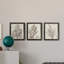 «Sepia Exotic Plants I», ensemble de 3 peintures sur toile encadrées-2017768721-2017768720