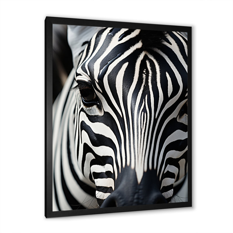 Portrait de zèbre noir et blanc I, reproduction sur toile, Noir, H 44 po x l 34 po x P 1,5 po