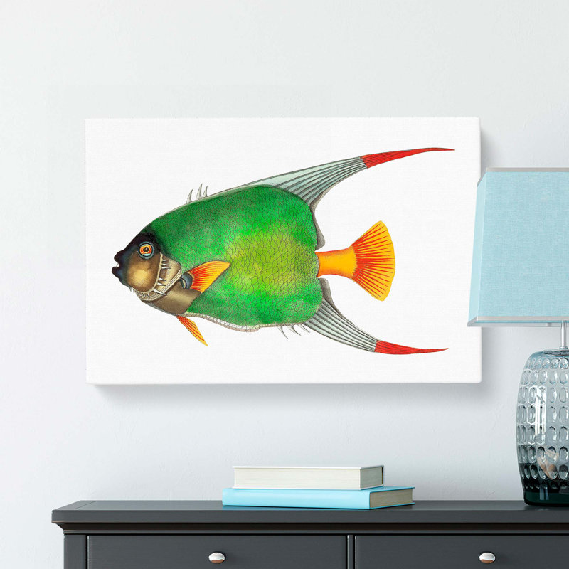 Angelfish by George Shaw - Wrapped Canvas Painting Print, 40cm H x 60cm W x 3cm D
