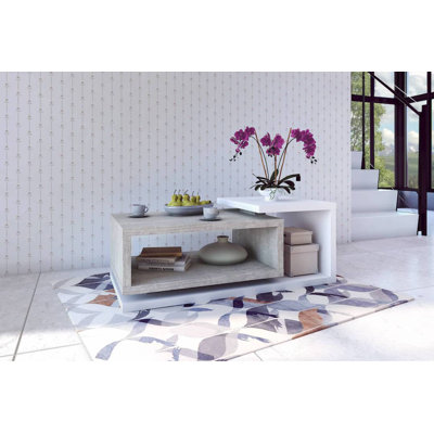 Behensky Coffee Table with Storage