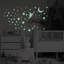 Animals Wall Decal