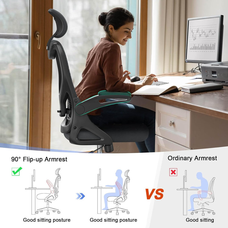 Ergonomic Office Chair, Computer Chair, Mesh Chair, Grey