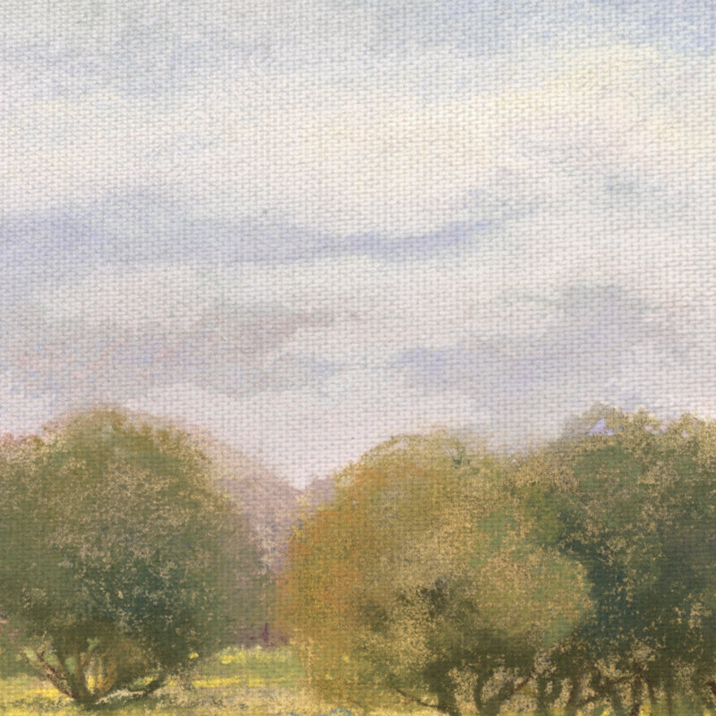 Peaceful Meadow Landscape Canvas Art for Kids Room