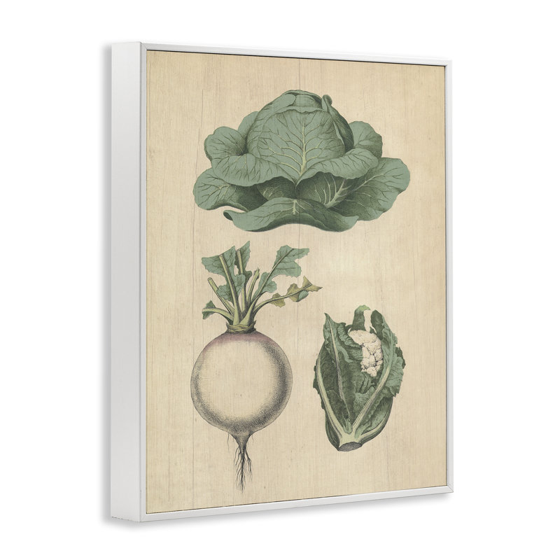  Légumes de jardin rétro, estampe numérique par Daphne Polselli, H 14 po x l 11 po
