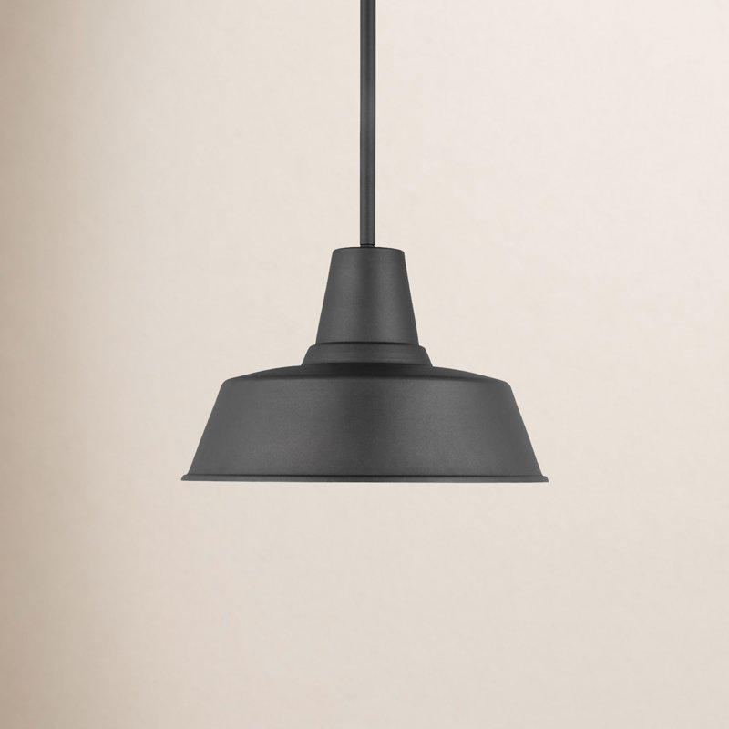 Luminaire suspendu d'extérieur 1 lumière H 9 po Blakeston, Noir, Non